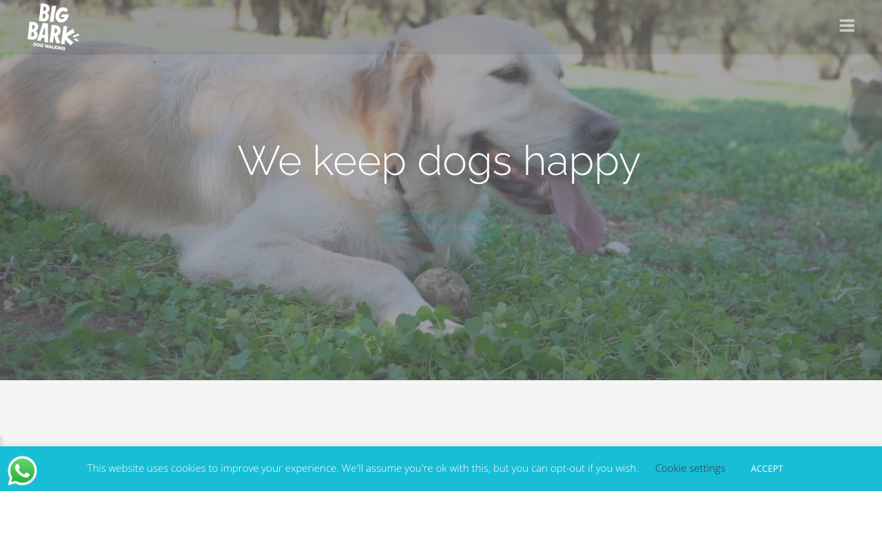 Big Bark dog walking website — homepage screenshot showing services and contact form